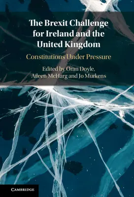 Výzva pro Irsko a Spojené království v souvislosti s brexitem - The Brexit Challenge for Ireland and the United Kingdom