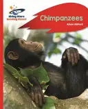 Reading Planet - Šimpanzi - Červená B: Rocket Phonics - Reading Planet - Chimpanzees - Red B: Rocket Phonics