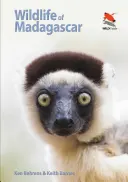Divoká příroda Madagaskaru - Wildlife of Madagascar