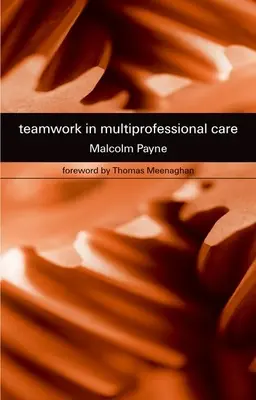 Týmová práce v multiprofesní péči - Teamwork in Multiprofessional Care