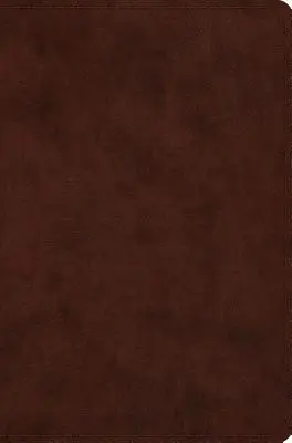Kompaktní Bible-ESV - Compact Bible-ESV