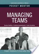 Řízení týmů - Managing Teams