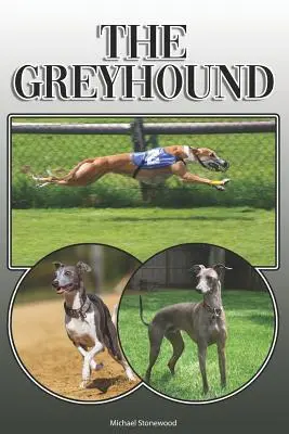 Chrt: A Complete and Comprehensive Owners Guide To: Koupě, vlastnictví, zdraví, péče, výcvik, poslušnost, pochopení a porozumění - The Greyhound: A Complete and Comprehensive Owners Guide To: Buying, Owning, Health, Grooming, Training, Obedience, Understanding and