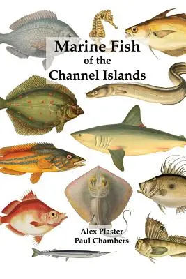 Mořské ryby Normanských ostrovů - Marine Fish of the Channel Islands