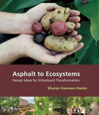 Asfalt do ekosystémů: Nápady na proměnu školních dvorů - Asphalt to Ecosystems: Design Ideas for Schoolyard Transformation