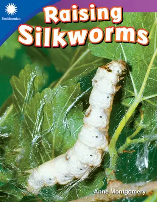 Chov bource morušového - Raising Silkworms