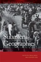 Subalterní geografie - Subaltern Geographies