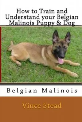 Jak vycvičit a pochopit vaše štěně a psa belgického ovčáka malinois - How to Train and Understand Your Belgian Malinois Puppy & Dog
