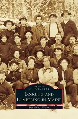 Těžba dřeva a dřevařství v Maine - Logging and Lumbering in Maine