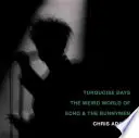 Tyrkysové dny: Podivný svět Echo & the Bunnymen - Turquoise Days: The Weird World of Echo & the Bunnymen