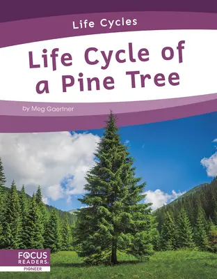 Životní cyklus borovice - Life Cycle of a Pine Tree