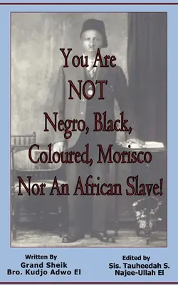 NEJSI černoch, černoška, barevný, Morisco ani africký otrok! - You Are NOT Negro, Black, Coloured, Morisco Nor An African Slave!