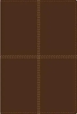 Dvojjazyčná Bible-PR-NIV/Rvr 1960 - Bilingual Bible-PR-NIV/Rvr 1960