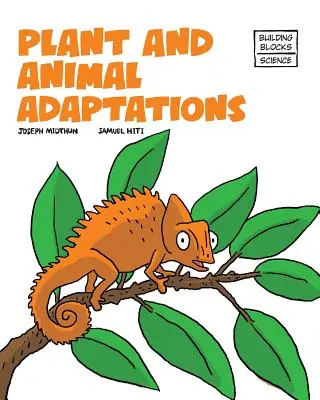 Přizpůsobení rostlin a živočichů - Plant and Animal Adaptions