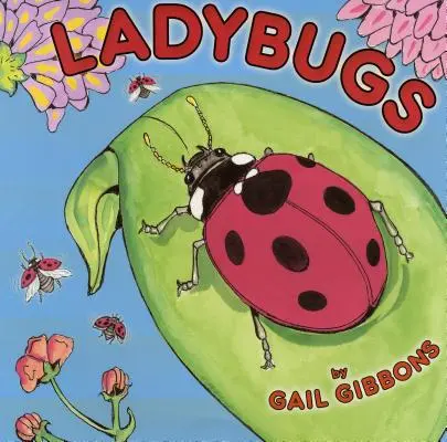 Berušky - Ladybugs