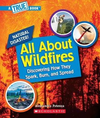 Vše o lesních požárech (Pravdivá kniha: Přírodní katastrofy) - All about Wildfires (a True Book: Natural Disasters)