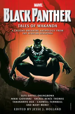 Černý panter: Příběhy z Wakandy - Black Panther: Tales of Wakanda