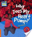 Proč mi pumpuje srdce? Faktografická příručka 6. úrovně - Why Does My Heart Pump? Level 6 Factbook