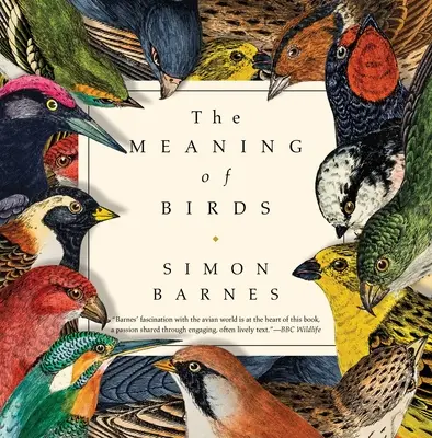 Význam ptáků - The Meaning of Birds