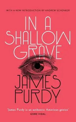 V mělkém hrobě (Valancourt 20th Century Classics) - In a Shallow Grave (Valancourt 20th Century Classics)