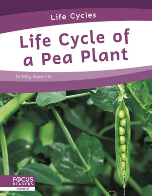 Životní cyklus rostliny hrachu - Life Cycle of a Pea Plant