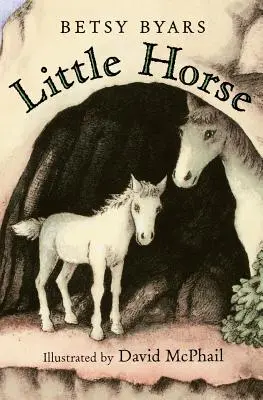 Malý koník - Little Horse