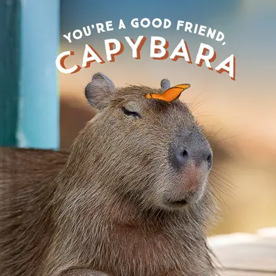 Jsi dobrý přítel, kapybara - You're a Good Friend, Capybara