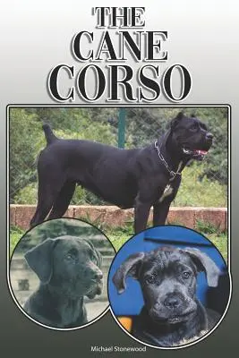 Cane Corso: A Complete and Comprehensive Owners Guide To: A Complete and Comprehensive Owners Guide To: Koupě, vlastnictví, zdraví, péče, výcvik, poslušnost, pochopení a porozumění - The Cane Corso: A Complete and Comprehensive Owners Guide To: Buying, Owning, Health, Grooming, Training, Obedience, Understanding and