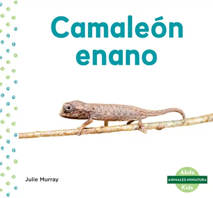 Camalen Enano (Chameleon listový) - Camalen Enano (Leaf Chameleon)