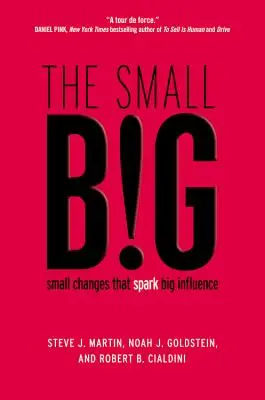 Malé VELKÉ: malé změny, které vyvolávají velký vliv - The small BIG: small changes that spark big influence