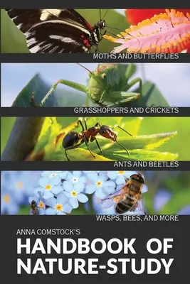 Barevná příručka o přírodě - Hmyz - The Handbook Of Nature Study in Color - Insects