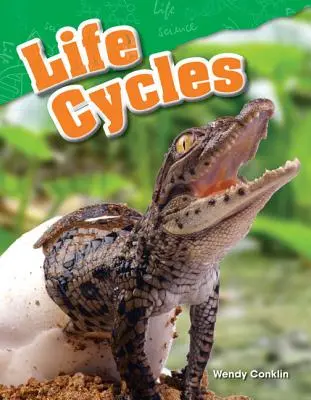Životní cykly - Life Cycles