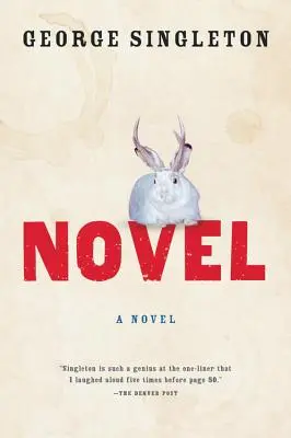 Román - Novel