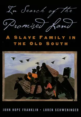 Při hledání země zaslíbené: Rodina otroků na starém Jihu - In Search of the Promised Land: A Slave Family in the Old South