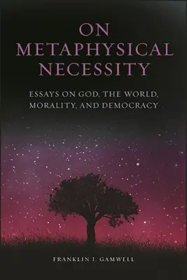 O metafyzické nutnosti - On Metaphysical Necessity