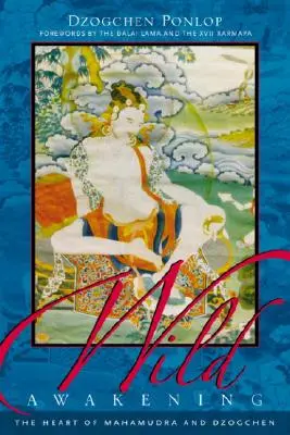Divoké probuzení: Srdce mahámudry a dzogčhenu: Jak se probouzet: Jak se probouzet? - Wild Awakening: The Heart of Mahamudra & Dzogchen