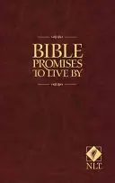 Biblická zaslíbení pro život - Bible Promises to Live by