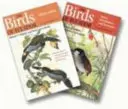 Ptáci Ekvádoru: Dvoudílný soubor - The Birds of Ecuador: Two-Volume Set