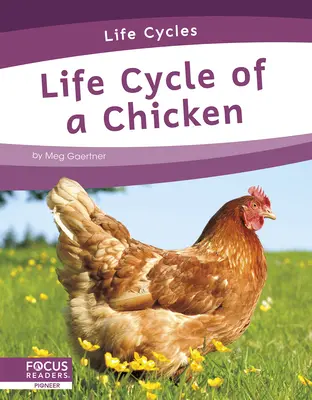 Životní cyklus kuřete - Life Cycle of a Chicken