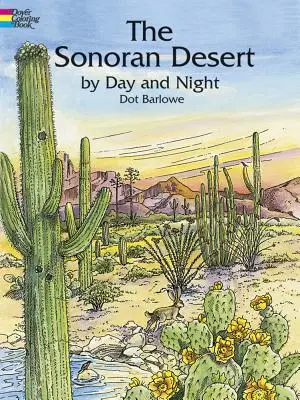 Sonorská poušť ve dne i v noci Omalovánky - The Sonoran Desert by Day and Night Coloring Book