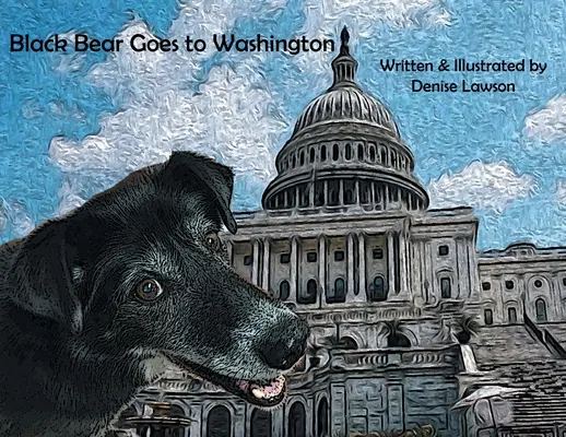 Černý medvěd jede do Washingtonu - Black Bear Goes to Washington