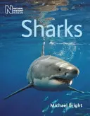 Žraloci - Sharks