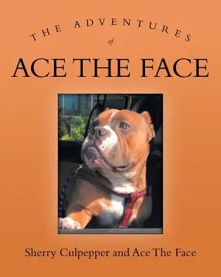 Dobrodružství Ace Tváře - The Adventures of Ace The Face