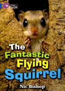 Fantastická létající veverka - The Fantastic Flying Squirrel