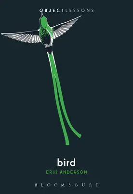 Pták - Bird