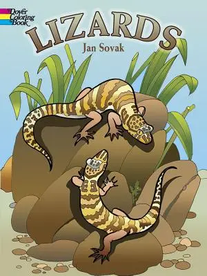 Ještěrky Omalovánky - Lizards Coloring Book