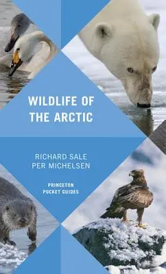 Divoká příroda Arktidy - Wildlife of the Arctic