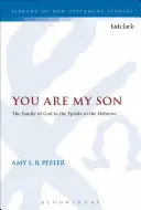Ty jsi můj syn - You Are My Son