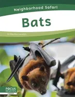 Netopýři - Bats