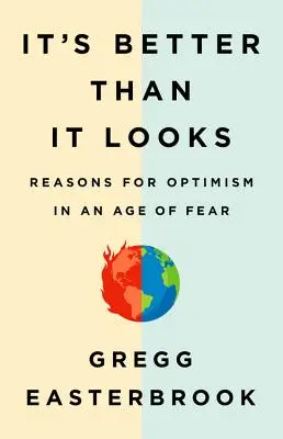 Je to lepší, než to vypadá: Důvody k optimismu ve věku strachu - It's Better Than It Looks: Reasons for Optimism in an Age of Fear